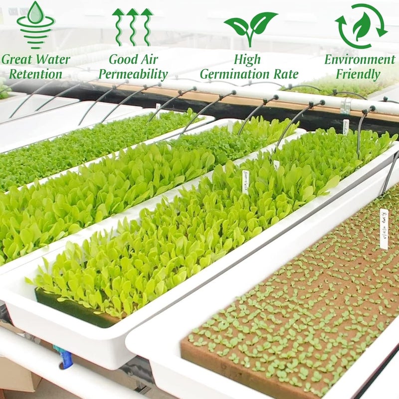 Halatool 1.2 Inch Rockwool Cubes Garden Hydroponic Pods Starter Plugs for Hydroponics Soilless Cultivation Seedling Starting Cuttings Clone & Plants Propagation (2 Sheets, 72 Plugs in Total) - Image 4